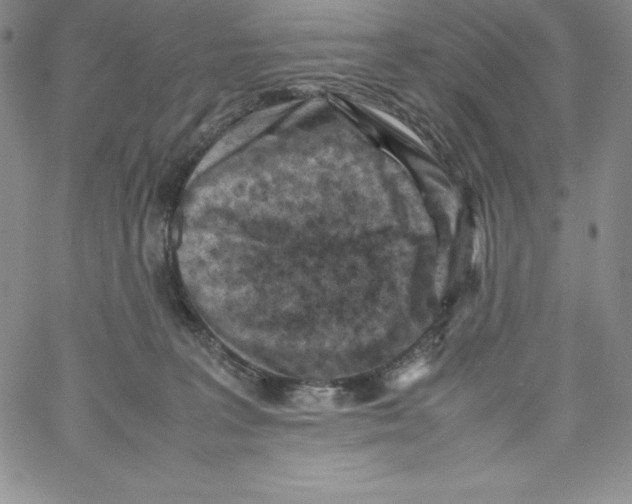 X0000066960227200604211849