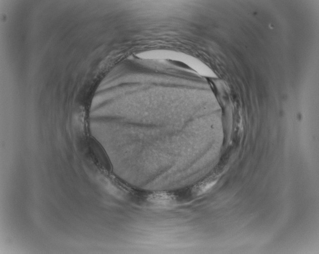 X0000066960231200604211849