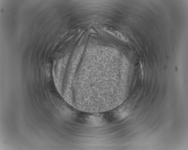 X0000066960232200604211849