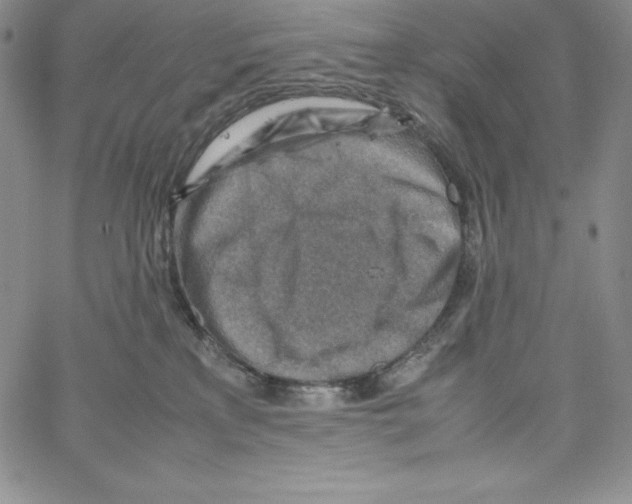 X0000066960233200604211849