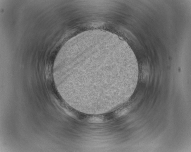 X0000066960236200604211849