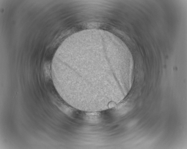 X0000066960240200604211849