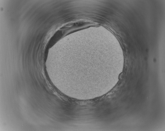 X0000066960241200604211848