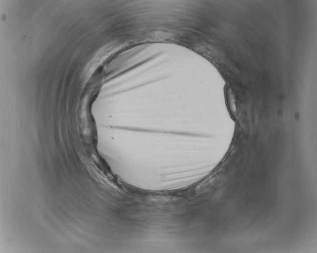 X0000066960242200604211848