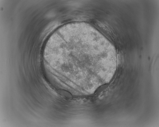 X0000066960243200604211848