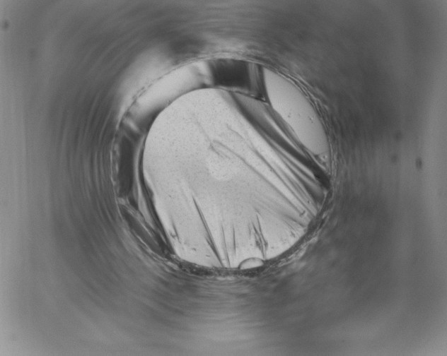 X0000066960244200604211848