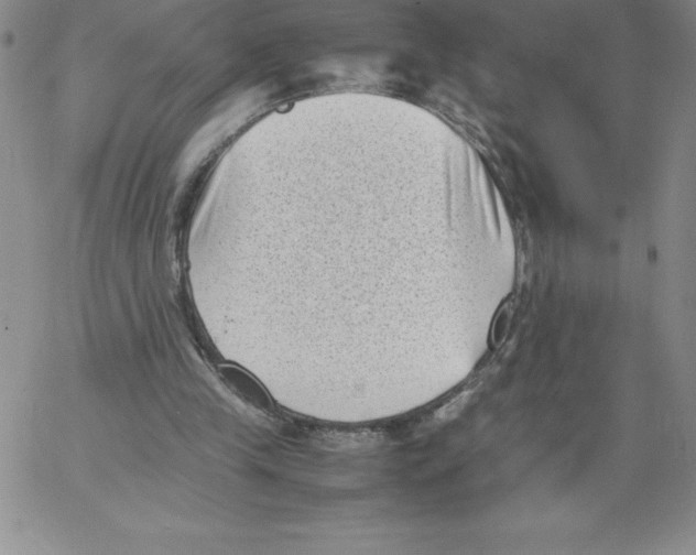 X0000066960245200604211848