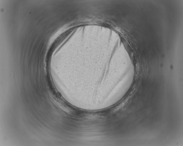 X0000066960246200604211848