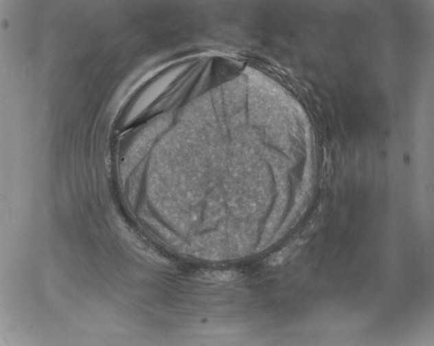 X0000066960247200604211848