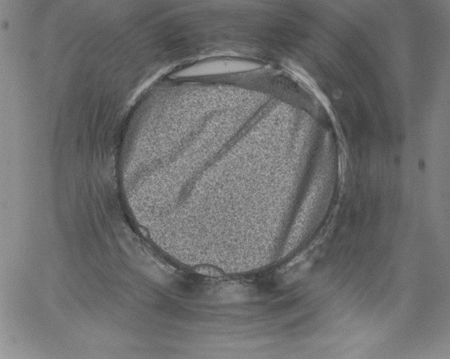 X0000066960249200604211848