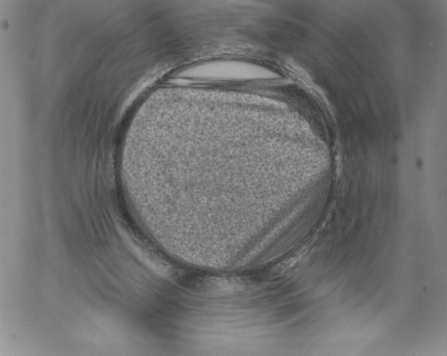 X0000066960250200604211848