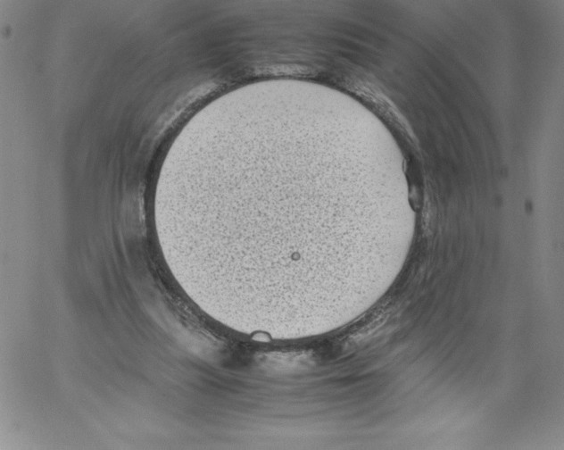 X0000066960251200604211848