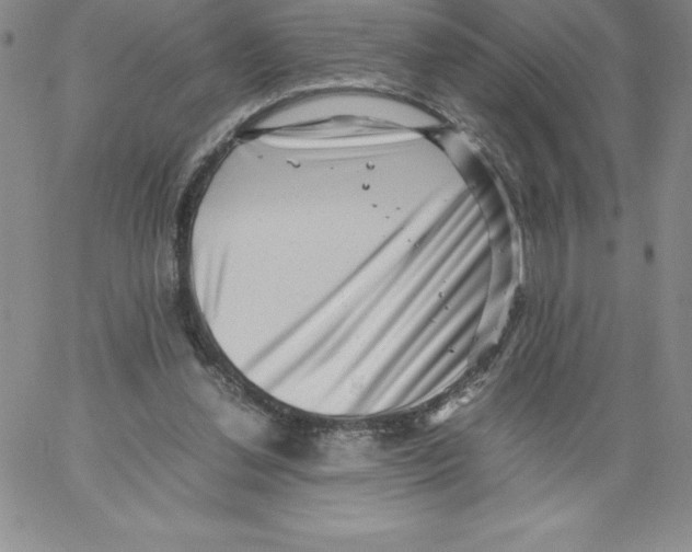 X0000066960252200604211848