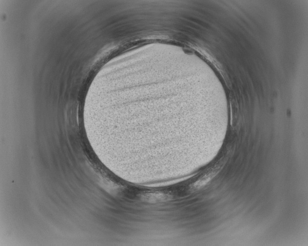 X0000066960253200604211848