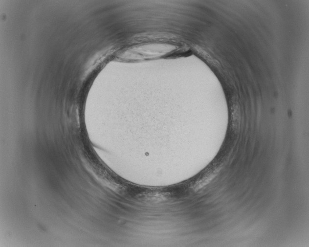 X0000066960254200604211848