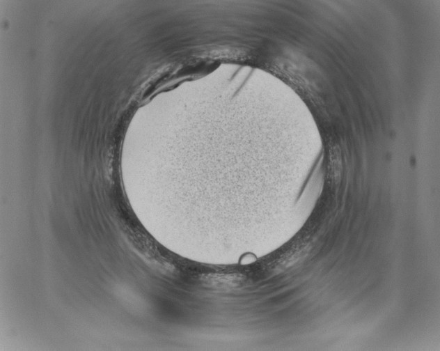 X0000066960255200604211848