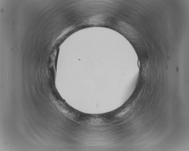 X0000066960256200604211848