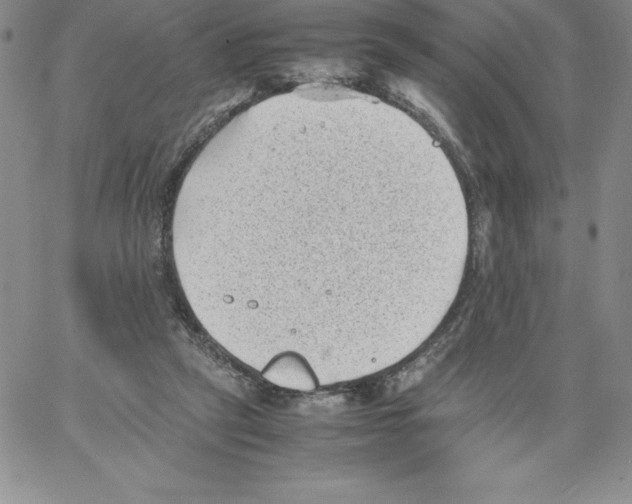 X0000066960257200604211848