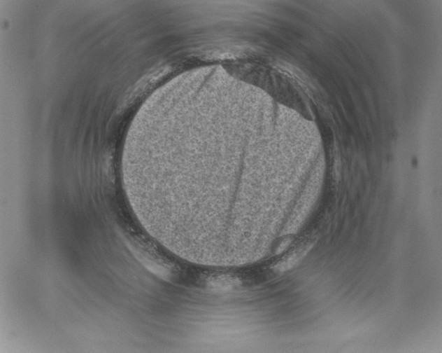 X0000066960258200604211848