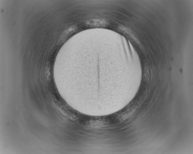 X0000066960259200604211848