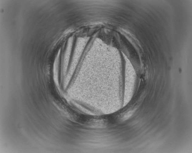 X0000066960260200604211848