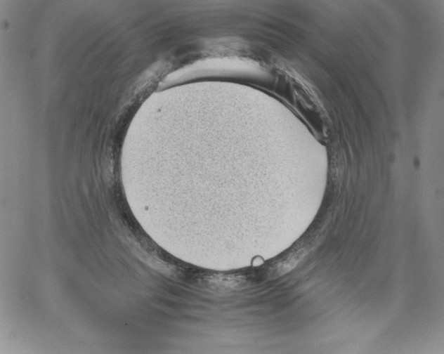 X0000066960261200604211848