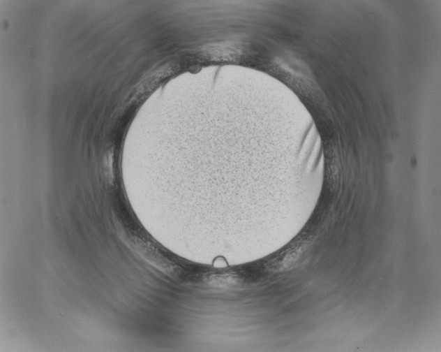 X0000066960262200604211849