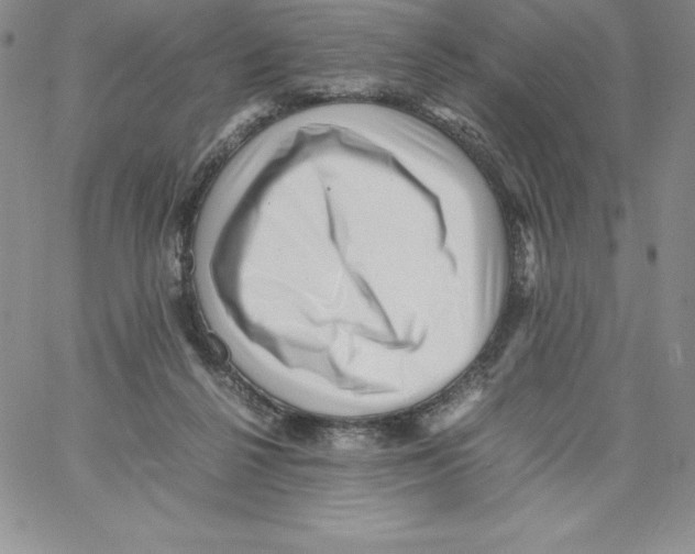 X0000066960264200604211849