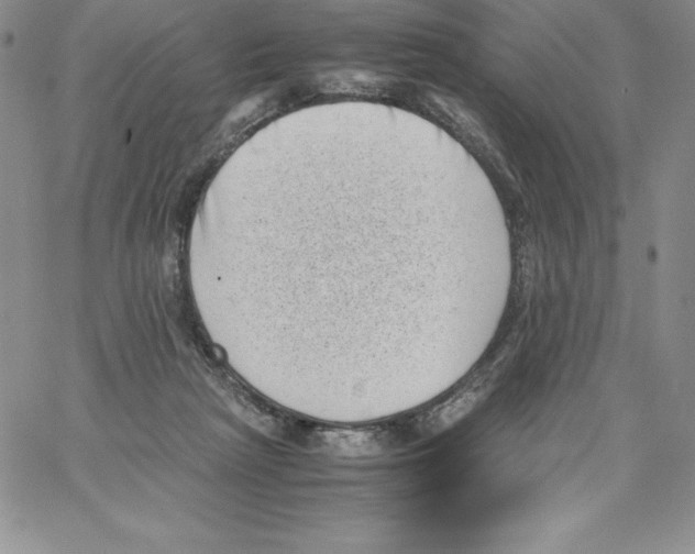 X0000066960265200604211849