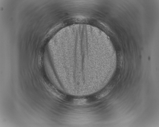 X0000066960266200604211849