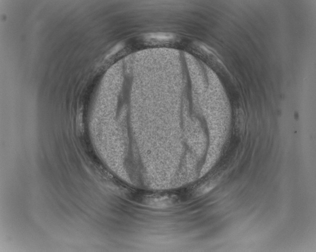 X0000066960267200604211849