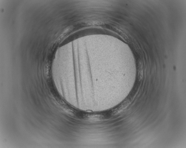 X0000066960268200604211849