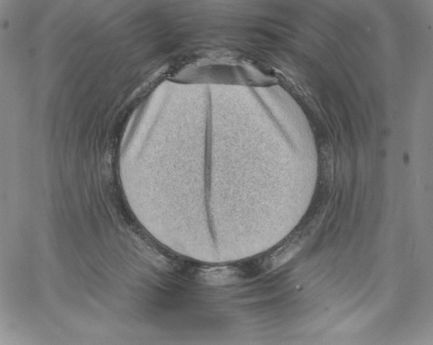 X0000066960269200604211849