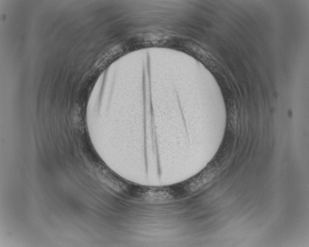 X0000066960270200604211849