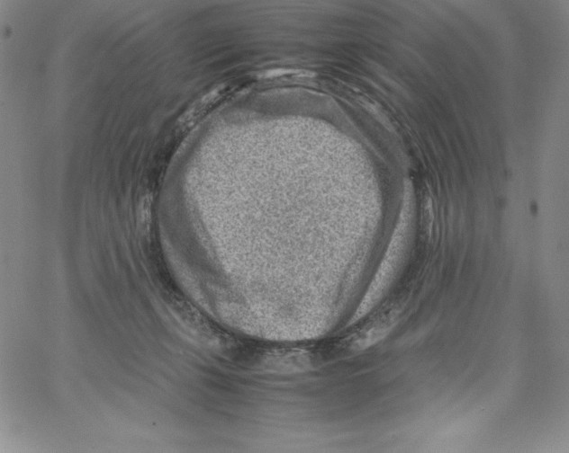 X0000066960271200604211849