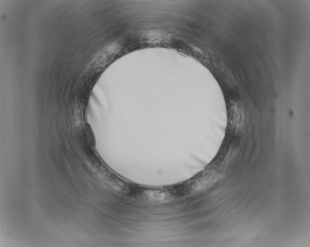 X0000066960272200604211849