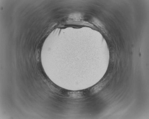 X0000066960273200604211849