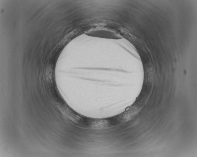 X0000066960274200604211849