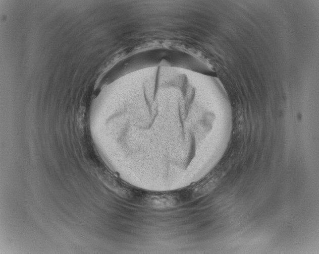 X0000066960275200604211849