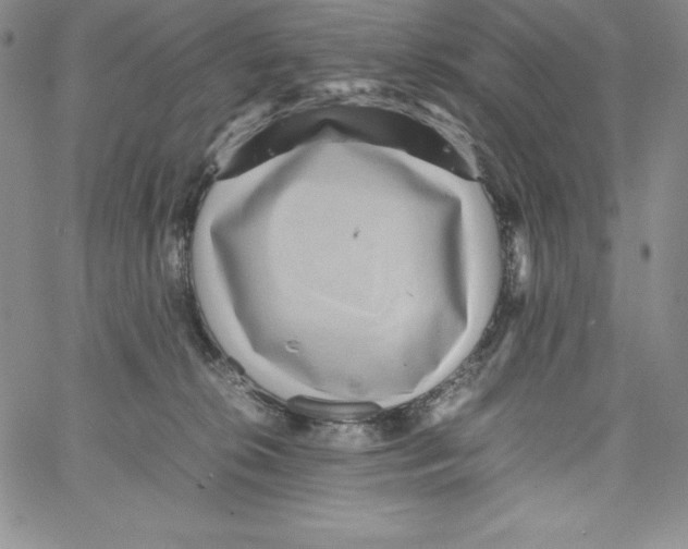 X0000066960276200604211849