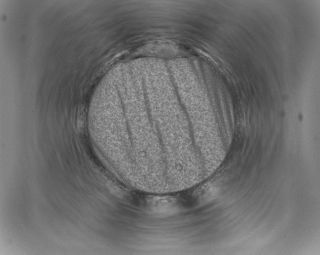 X0000066960277200604211849