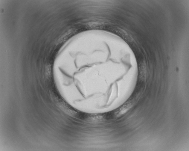 X0000066960278200604211849