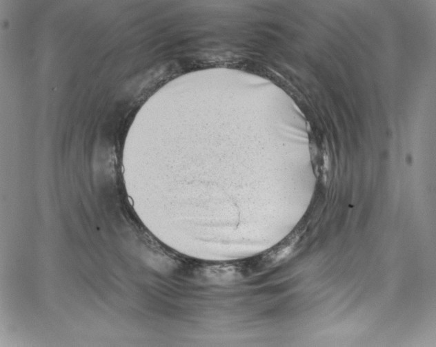 X0000066960279200604211849