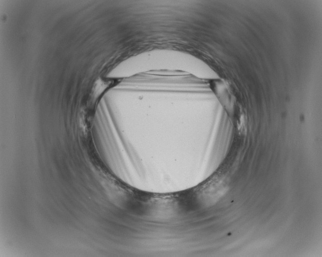 X0000066960280200604211849