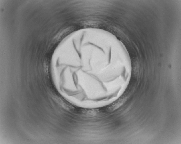 X0000066960282200604211849