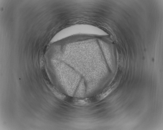 X0000066960285200604211849