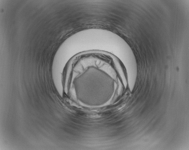 X0000066960287200604211849