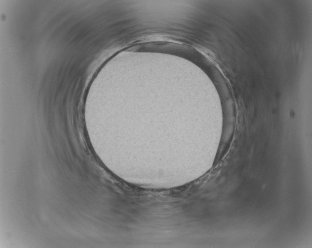 X0000066960289200604211848