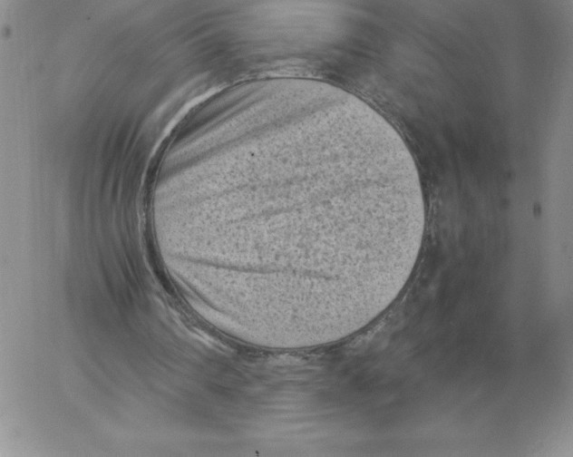 X0000066960290200604211848