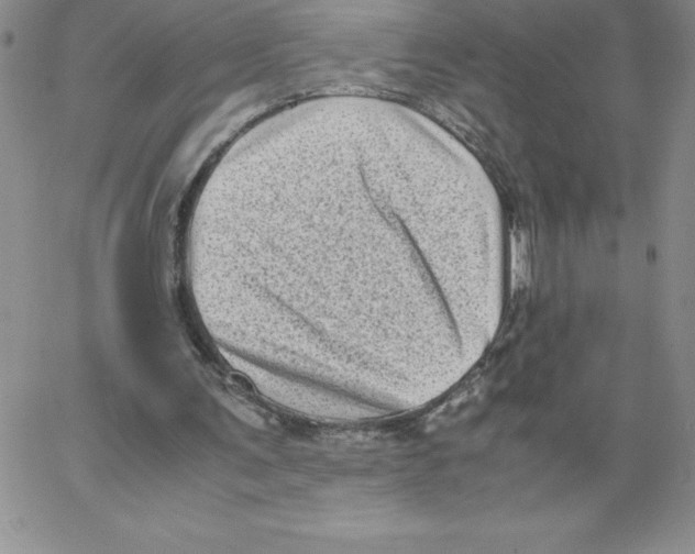 X0000066960291200604211848